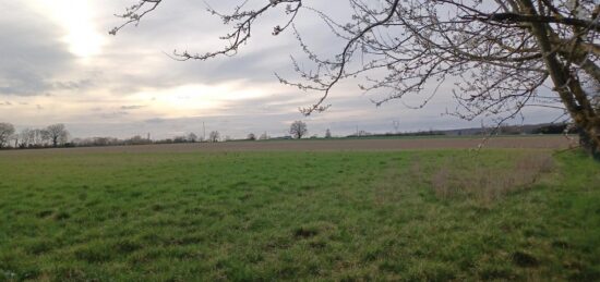 Terrain à bâtir à Beaumont-la-Ronce, Centre-Val de Loire