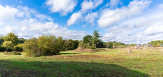 Terrain à bâtir à Saint-Antoine-du-Rocher, Centre-Val de Loire