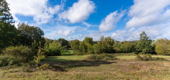 Terrain à bâtir à Saint-Antoine-du-Rocher, Centre-Val de Loire