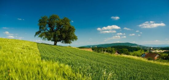 Terrain à bâtir à Montlouis-sur-Loire, Centre-Val de Loire