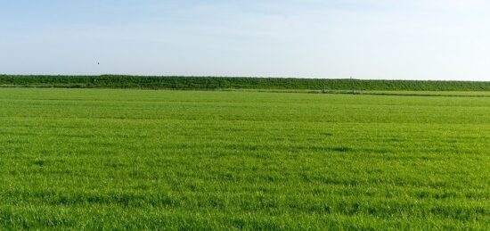 Terrain à bâtir à Sainte-Maure-de-Touraine, Centre-Val de Loire